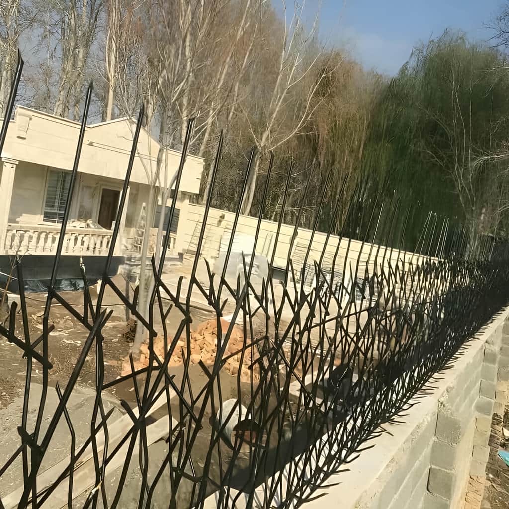 حفاظ شاخ گوزنی خار دار با جوشکاری تمیز شاخه ها
