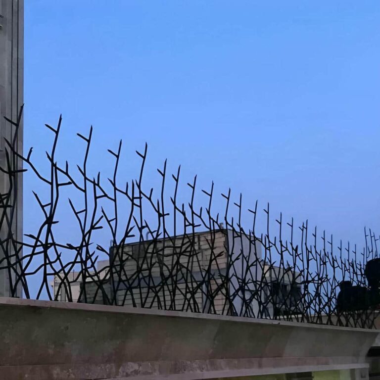 حفاظ روی دیوار با مدل شاخ گوزنی متراکم انتخاب حفاظ مناسب روی دیوار برای خانه، ویلا و باغ